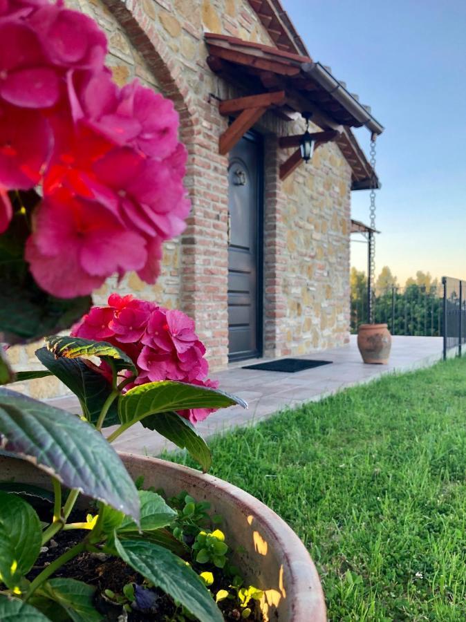 Agriturismo I Colli Montaione Exteriér fotografie