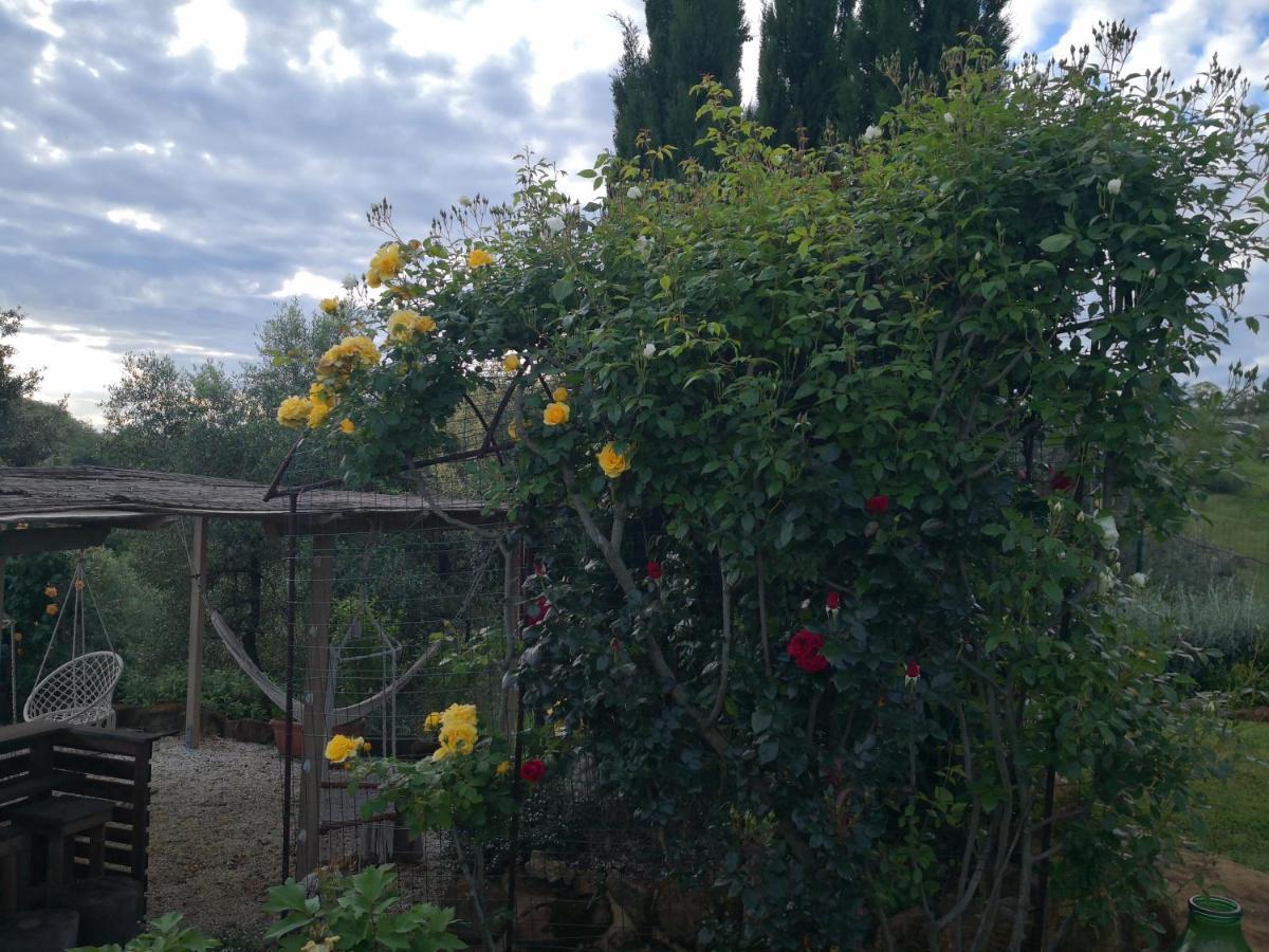 Agriturismo I Colli Montaione Exteriér fotografie